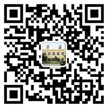 the qr code